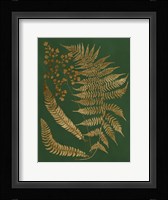 Gilded Ferns I Fine Art Print