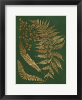 Gilded Ferns I Framed Print
