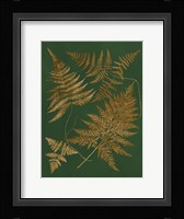 Gilded Ferns II Fine Art Print