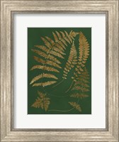 Gilded Ferns III Fine Art Print