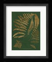 Gilded Ferns III Fine Art Print
