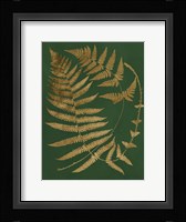 Gilded Ferns IV Fine Art Print