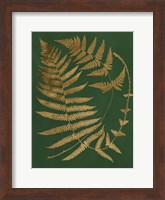 Gilded Ferns IV Fine Art Print