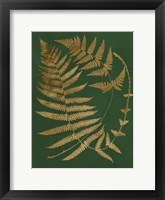 Gilded Ferns IV Framed Print