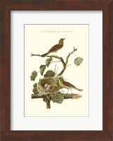 Nozeman Common Teal Nest Fine Art Print