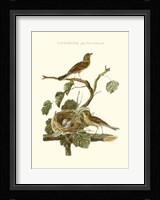 Nozeman Common Teal Nest Fine Art Print
