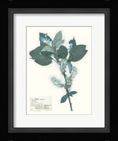 Pressed Flowers in Spa I Fine Art Print