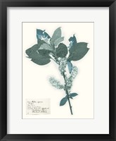 Pressed Flowers in Spa I Framed Print