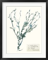 Pressed Flowers in Spa II Fine Art Print