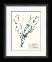 Pressed Flowers in Spa II Fine Art Print