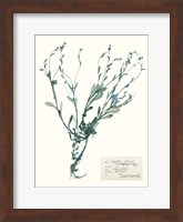 Pressed Flowers in Spa II Fine Art Print