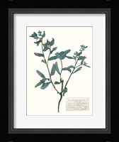 Pressed Flowers in Spa III Fine Art Print