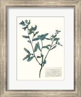 Pressed Flowers in Spa III Fine Art Print