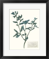 Pressed Flowers in Spa III Fine Art Print