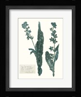 Pressed Flowers in Spa IV Fine Art Print