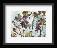 L'orchidee II Framed Print