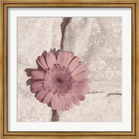 Stone Blossom I Fine Art Print