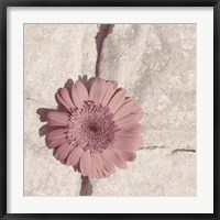 Stone Blossom I Fine Art Print