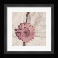 Stone Blossom I Framed Print