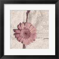 Stone Blossom I Framed Print