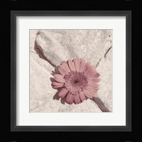Stone Blossom II Framed Print
