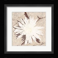 Stone Blossom III Framed Print