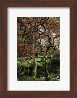 Japanese Garden Tree Fine Art Print
