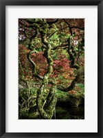 Japanese Garden Tree 2 Fine Art Print