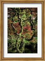 Japanese Garden Tree 2 Fine Art Print