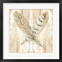 Feathers Crossed II Framed Print