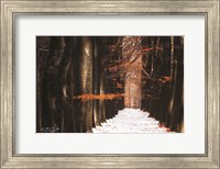 Red and Wet Fine Art Print