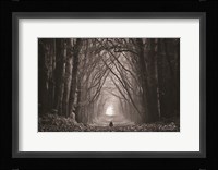 In the Land of Gods and Monsters Fine Art Print