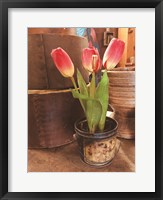 Tulip Simplicity Fine Art Print