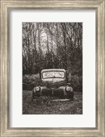 Bumper in Weeds Fine Art Print