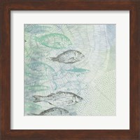 Swimming Fish Fine Art Print