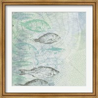 Swimming Fish Fine Art Print