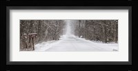 Winter's Mail Fine Art Print