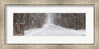 Winter's Mail Fine Art Print