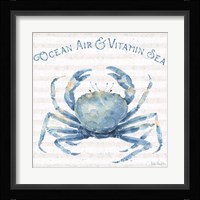 Nautical Life X Framed Print