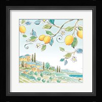 Mediterranean Breeze X Framed Print