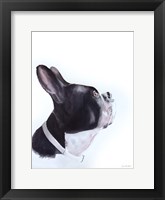 Breakfast Time Framed Print