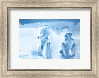 Ice Bears Fine Art Print