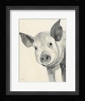 Oink Framed Print