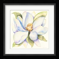 Magnolia Framed Print