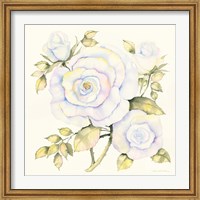 Roses Fine Art Print