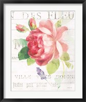 Maison des Fleurs VIII Fine Art Print