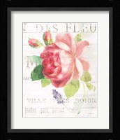 Maison des Fleurs VIII Framed Print