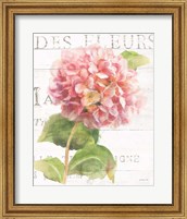Maison des Fleurs VII Fine Art Print