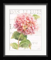 Maison des Fleurs VII Framed Print