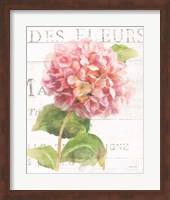 Maison des Fleurs VII Fine Art Print